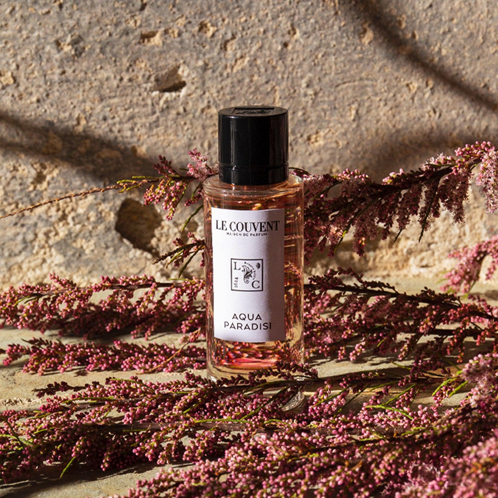 Aqua Majestae Aqua Amantia Le Couvent Parfum Aqua Paradisi